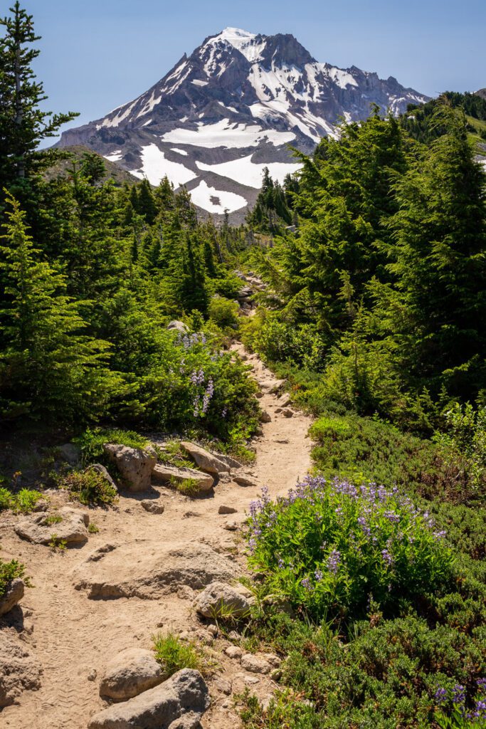 The Best Hikes near Mt. Hood: A Helpful Hiking Guide