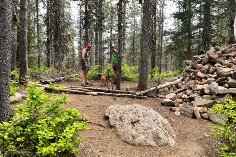 How to Hike the Tom, Dick, and Harry Mountain Trail (2022)