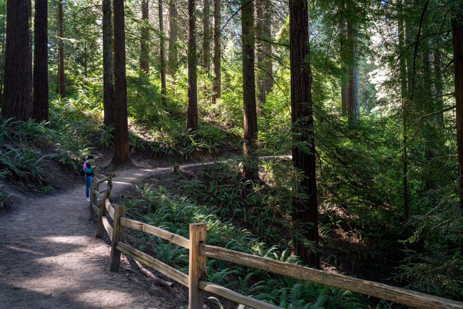 portland hiking tours