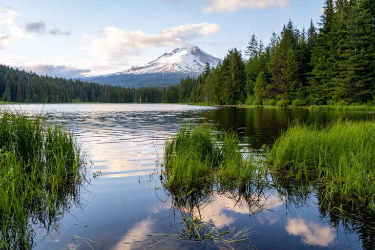 7 Incredible Day Trips from Portland, Oregon (Local’s Guide)